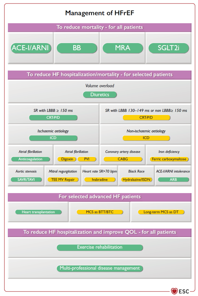 découvrez les divers traitements de l'insuffisance cardiaque, y compris les médicaments, les thérapies innovantes et les conseils pour gérer cette condition. informez-vous sur les meilleures pratiques pour améliorer votre qualité de vie.