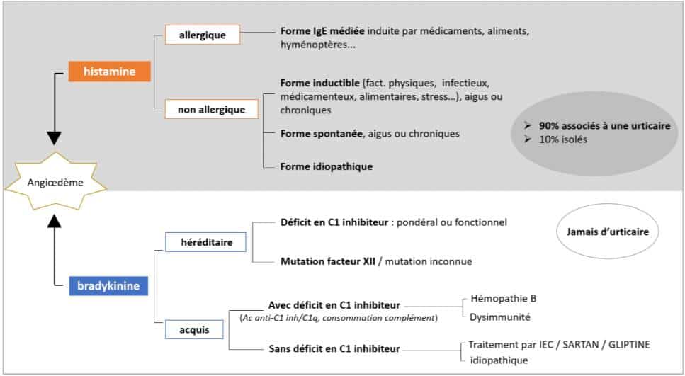 découvrez les effets et contre-indications de l'énalapril, un médicament couramment utilisé pour traiter l'hypertension et les problèmes cardiaques. informez-vous sur son efficacité, ses éventuels effets secondaires et les précautions à prendre avant son utilisation.