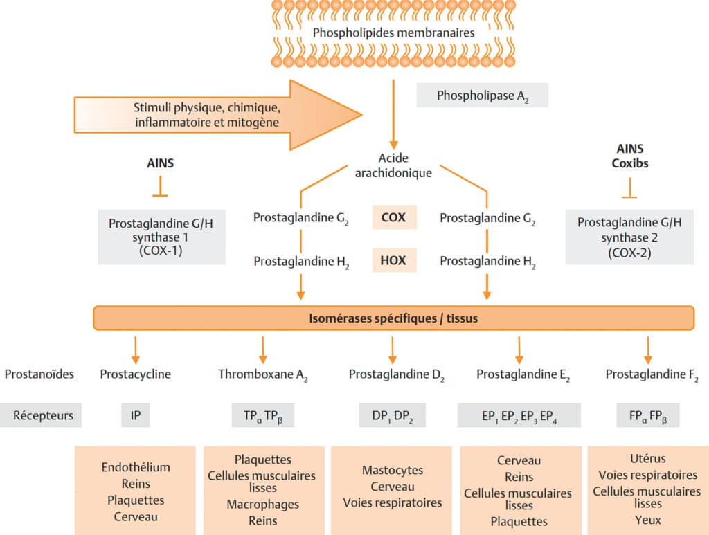 découvrez tout ce qu'il faut savoir sur la prescription de la vitamine d et ses effets secondaires. informez-vous sur les recommandations, les bienfaits ainsi que les risques potentiels liés à la consommation de cette vitamine essentielle pour votre santé.