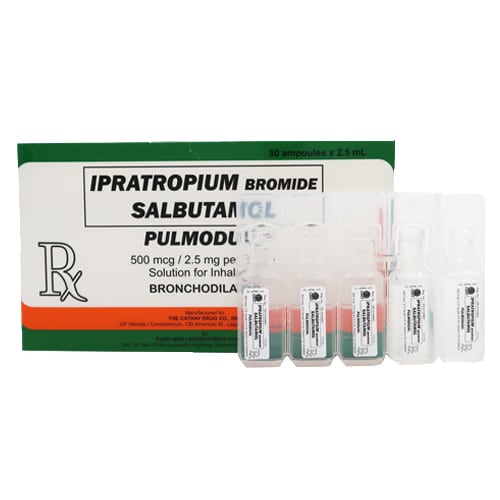 découvrez l'ipratropium, un médicament bronchodilatateur utilisé pour soulager les symptômes des maladies respiratoires comme l'asthme et la bpco. apprenez-en plus sur son fonctionnement, ses indications et ses effets secondaires.