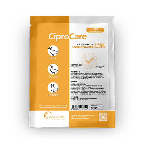 découvrez tout sur la ciprofloxacine, un antibiotique utilisé pour traiter diverses infections. cette meta description vous informe sur ses effets, ses bénéfices, ainsi que les contre-indications à considérer avant son utilisation pour garantir une prise en charge sécurisée et efficace.