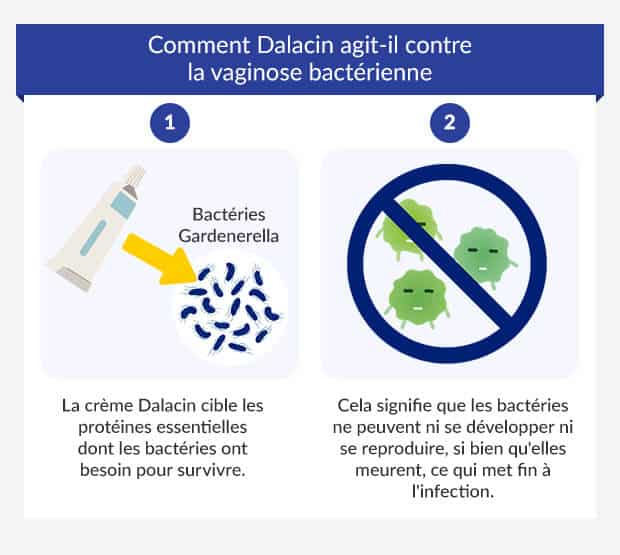 find out about the potential side effects of clindamycin, a commonly used antibiotic for treating various infections. Learn about possible reactions, their frequency, and precautions to take when using it.