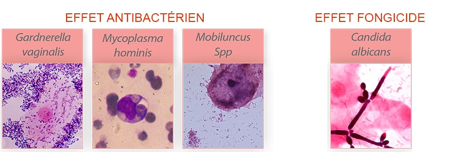 discover potential side effects of clindamycin, a commonly used antibiotic. Learn about adverse reactions, precautions to take, and tips for the safe use of this medication.